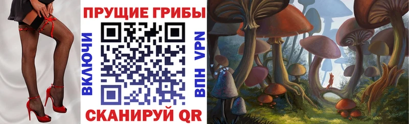 наркошоп  блэк спрут рабочий сайт  Псилоцибиновые грибы Psilocybe  Трубчевск 
